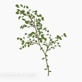 3D-Modell mit ovalen Blättern und Zweigen