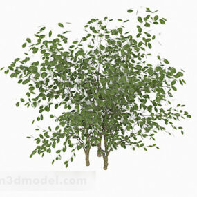 Oval Leaves Bush 3d model