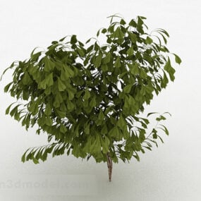 3D-Modell des Buschbaums mit ovalen Blättern