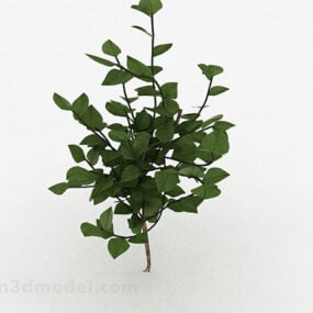 Oval Leaves Landscape Tree 3d model