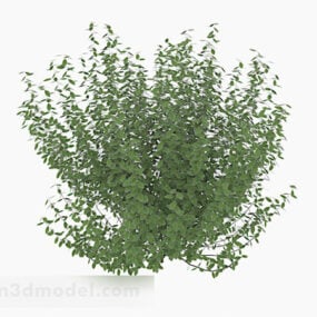 3D-Modell des niedrigen Busches mit ovalen Blättern