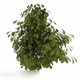 Arbusto ornamental de hojas ovaladas modelo 3d