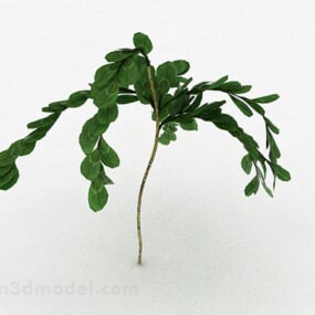 Modelo 3d de planta de arbusto de folhas ovais