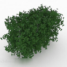3D-Modell einer Strauchbaumhecke mit ovalen Blättern