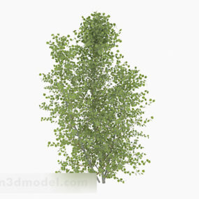 楕円形の葉の木3Dモデル