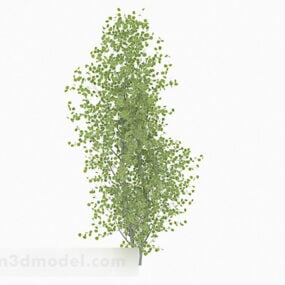 3д модель овальных деревьев с мелкими листьями