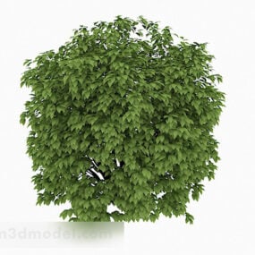 Ova Green Park Bushes Hedge 3d model