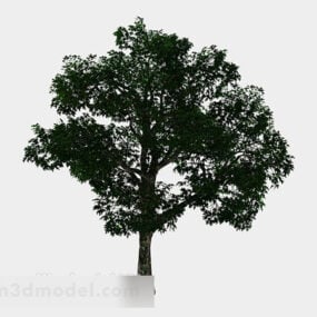 Modelo 3d da árvore verde do parque