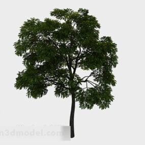 Parque plantando árboles modelo 3d