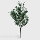 Park tree 3d model
