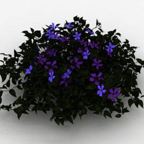 Purple Clematis Ornamental Flower 3d model
