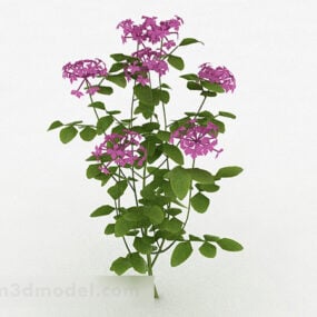 Paarse bloem decoratieve plant 3D-model