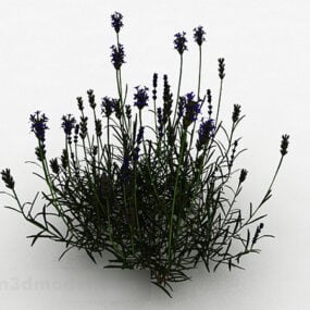Garden Purple Flowers Grass 3d model