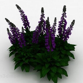 紫の花の細い葉3Dモデル