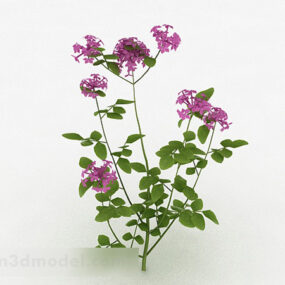 דגם תלת מימד של צמח פרח חיצוני סגול