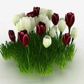 Kırmızı Ve Beyaz Lale Çiçeği 3d modeli