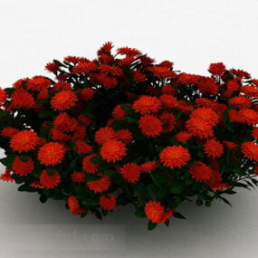 Red Daisy Ornamental Flower 3d model