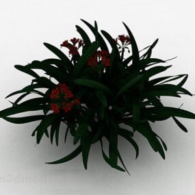Red Flower Ornamental Plant 3d model