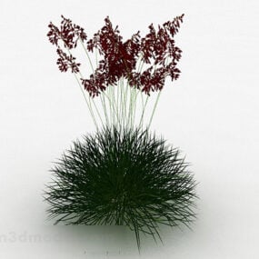 Red Grass Spike Plant 3d model
