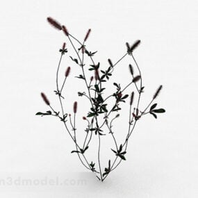 赤いスギナの植物 3D モデル