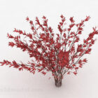 Red Leaves Ornamental Plant