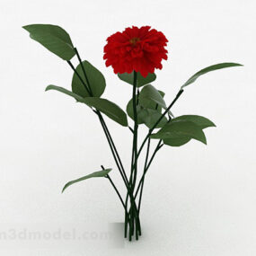 빨간 야외 꽃 식물 3d 모델