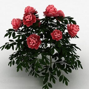زخرفة نبات الفاوانيا الحمراء نموذج ثلاثي الأبعاد