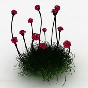 Garden Red Sea Dianthus Flower 3d-malli