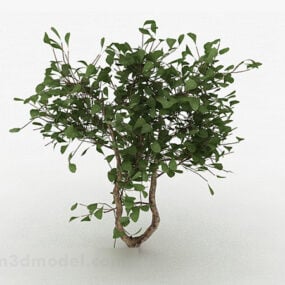 3D model okrasného stromu s kulatým listem