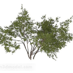 Modelo 3d de arbustos redondos de hojas pequeñas