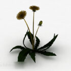 Single Dandelion Plant