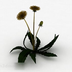 Single Dandelion Plant 3d model
