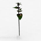 Single Green Leaf Wild Plant