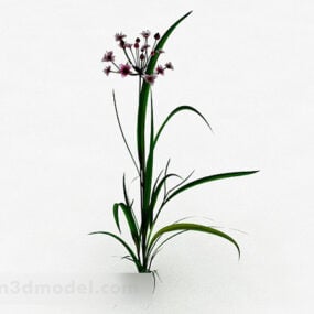 फूलों के साथ एकल पौधा छोटी घास 3डी मॉडल