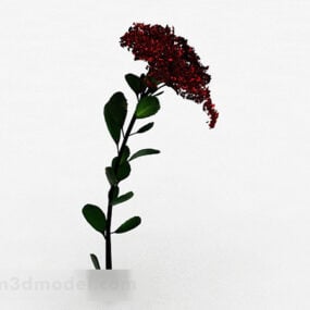 Single Safflower Plant 3d model