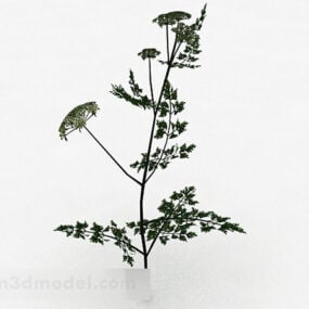דגם תלת מימד של צמח פרח לבן יחיד