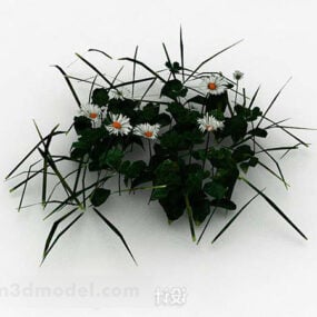 Small Daisy Plant 3d model