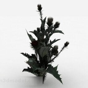 مدل سه بعدی گیاه برگ خاردار