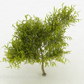 柔らかい黄色の葉の観賞植物3Dモデル