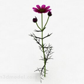 Thorns Purple Flowers Plant 3d-model