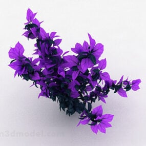 Purple Leaf Ornamental Plant 3d model