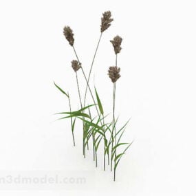 Weed Plant 3d model
