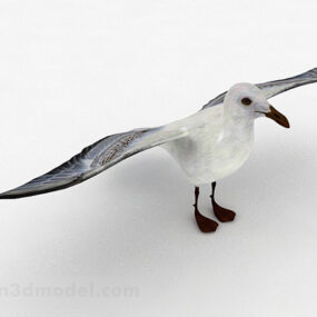 Mô hình 3d động vật bồ câu trắng