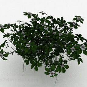 Weißes Blümchen-Grasblumen-Pflanzen-3D-Modell