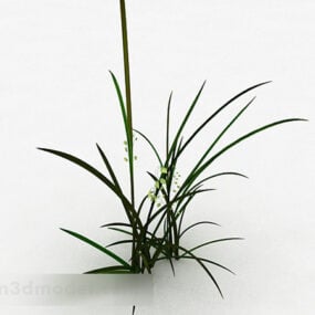 White Flowers And Grass 3d model