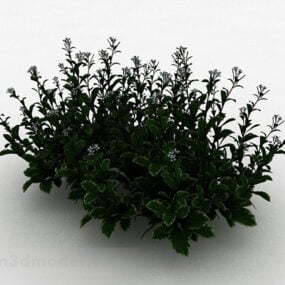 흰색 작은 정원 산림 식물 3d 모델