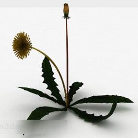 Yellow Dandelion Plant 3d model