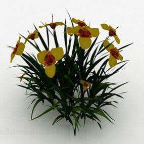 Yellow Flower Ornamental Flower 3d model