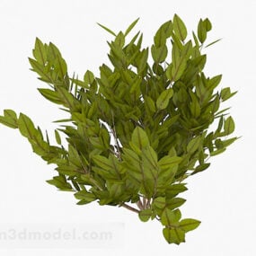 Modelo 3d de planta de folha oval verde amarela