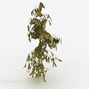 Arbusto de folha oval amarelo Modelo 3D